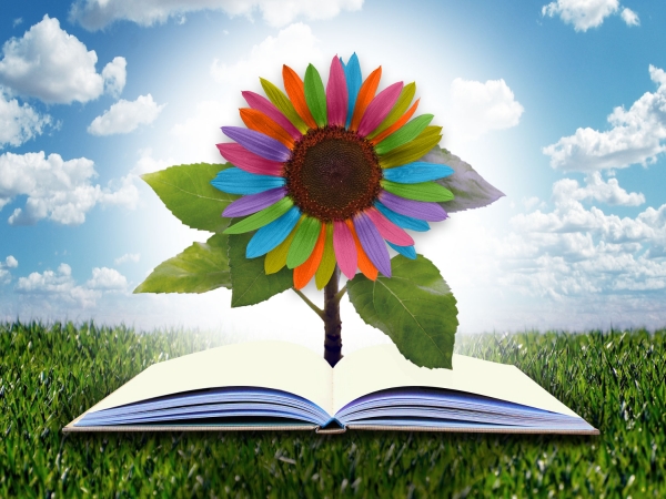 rainbow colored sunflower growing from a book in a field