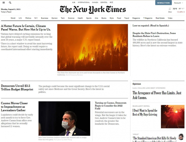 New York Times screenshot