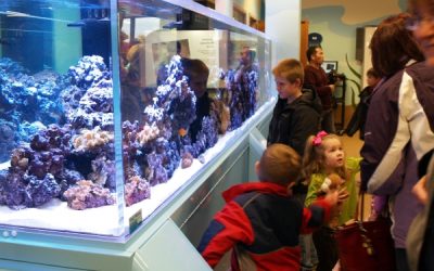 Phyllis Donner Aquarium