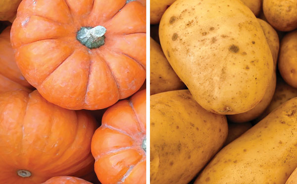 pumpkins and potatoes