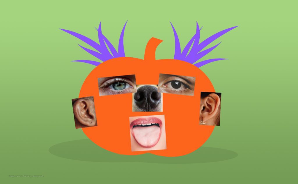 goofy pumpkin face