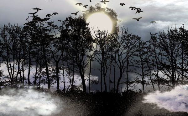 spooky forest and moon and ravens