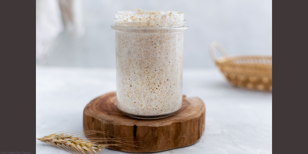 sourdough starter in a jar