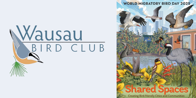 wausau bird club logo and world migratory bird 2025 poster