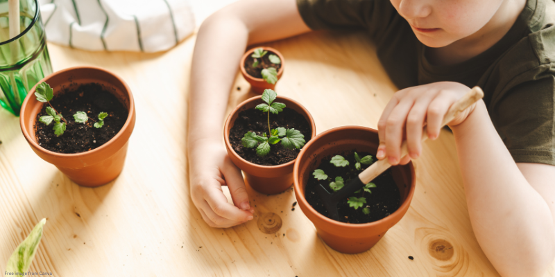 child planting a new plant