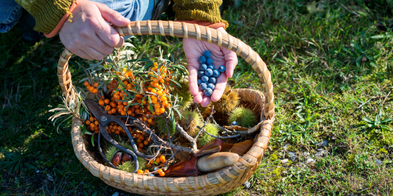 berries