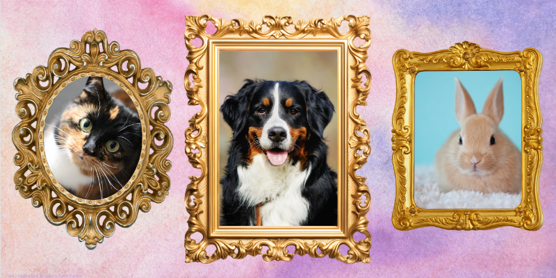 watercolor background with frames of pictures of pets