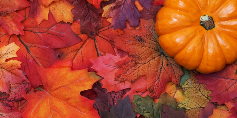 red, orange, green leaves with a small orange pumpkin