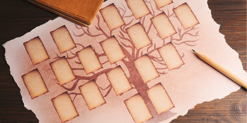 Parchment with a family tree illustration and empty rectangular frames, next to a pencil and a stack of papers.