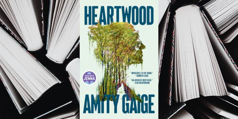 heartwood by amity gaige book cover