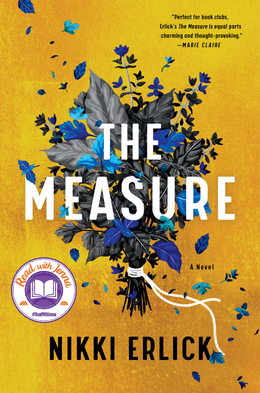 the measure by nikki erlick book cover
