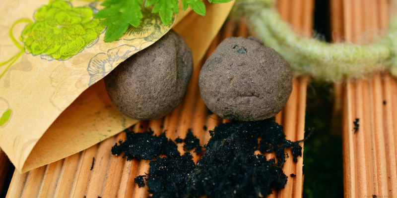 balls of clay, compost, and seeds