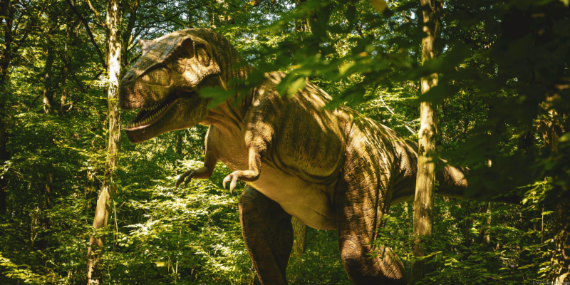 Tyrannosaurus rex stands in a sunlit, dense forest.