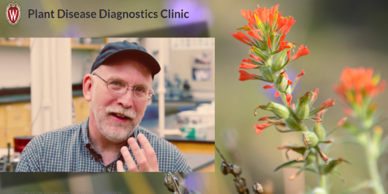 native plant background with image of brian hudelson
