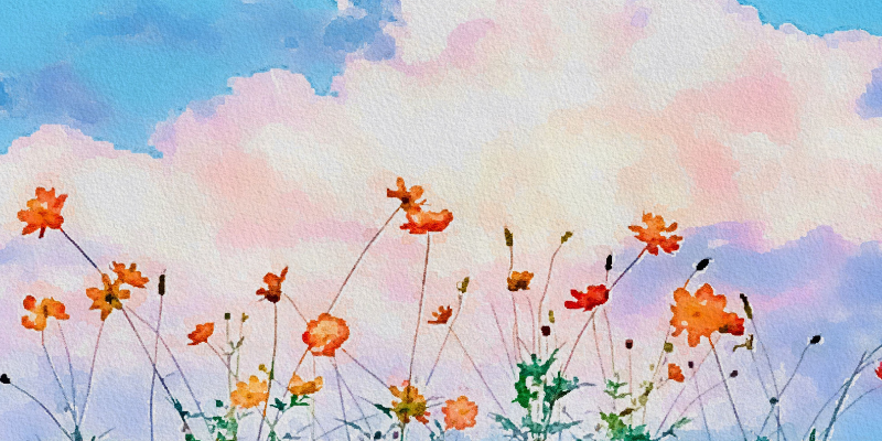 watercolor painted image of flowers and the sky