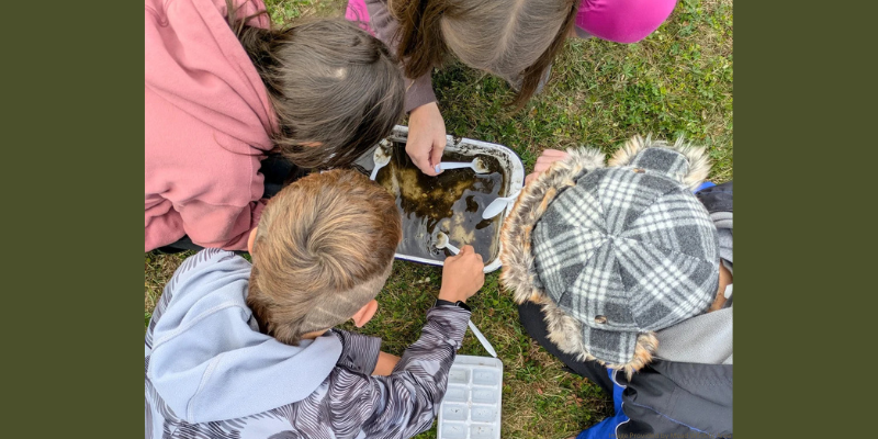 image of children using spoons in container of pond water