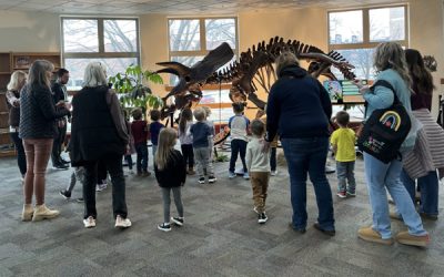 Group Visits